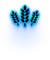 Yield Strategies